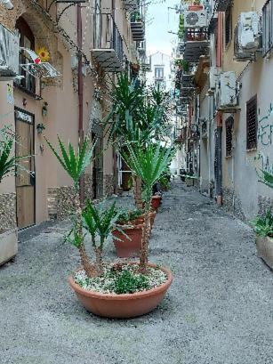 La Rosa Dei Venti " Ponente" Apartment Palermo Ngoại thất bức ảnh